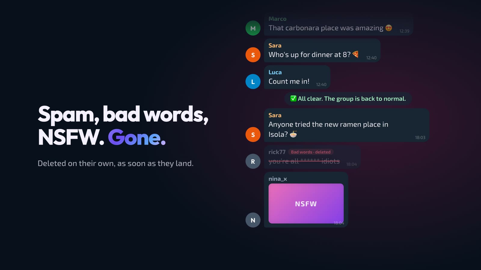 A message with banned words and an explicit image removed automatically from the group
